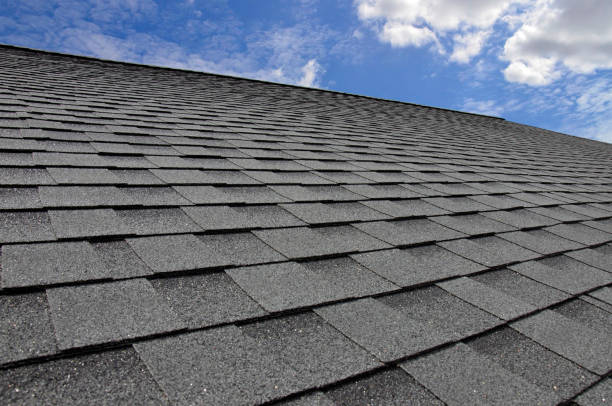 Best Gutter Installation and Repair  in Lillian, AL
