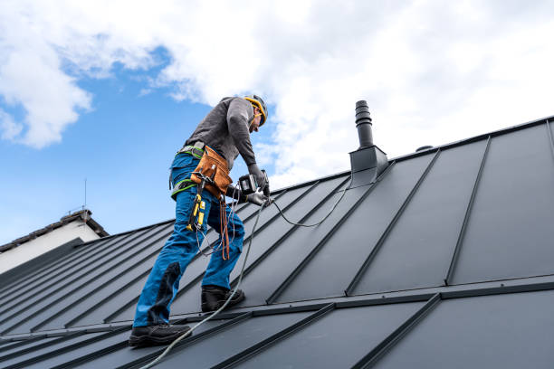Best Rubber Roofing (EPDM, TPO)  in Lillian, AL