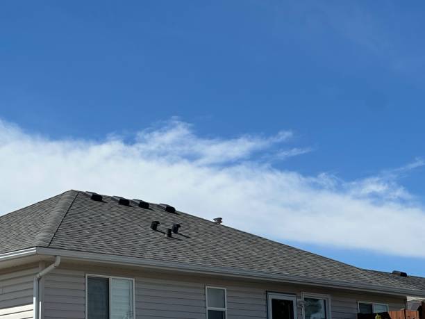 Best Roof Coating and Sealing  in Lillian, AL